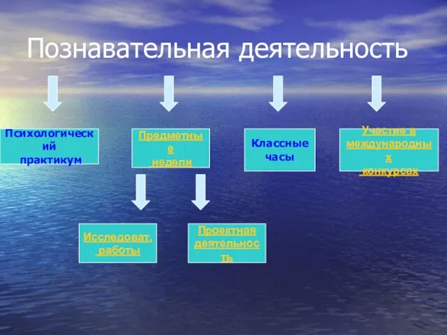 Познавательная деятельность Предметные недели Психологический практикум Классные часы Участие в международных конкурсах Исследоват. работы Проектная деятельность