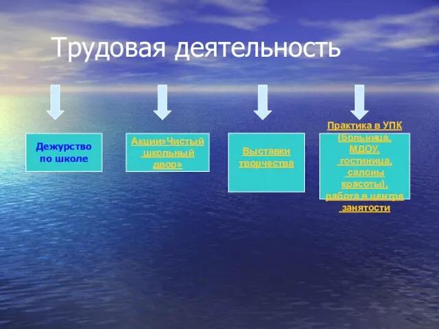 Трудовая деятельность Дежурство по школе Акции»Чистый школьный двор» Выставки творчества Практика в