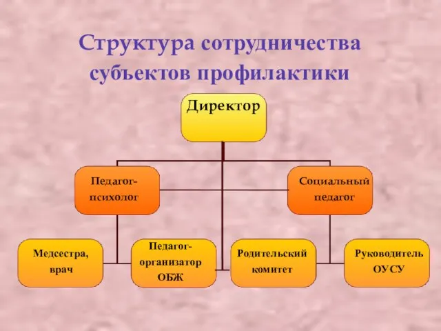 Структура сотрудничества субъектов профилактики Директор Педагог-психолог Социальный педагог Медсестра, врач Педагог- организатор