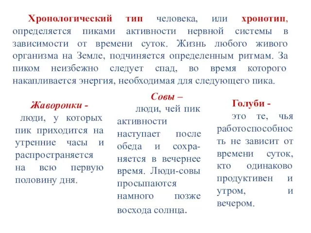 Хронологический тип человека, или хронотип, определяется пиками активности нервной системы в зависимости