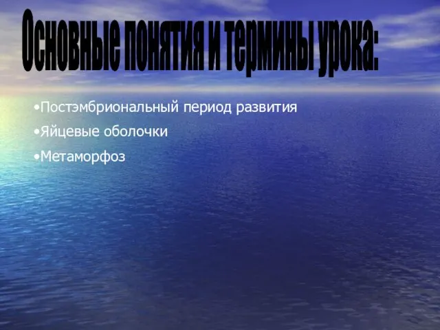 Основные понятия и термины урока: Постэмбриональный период развития Яйцевые оболочки Метаморфоз