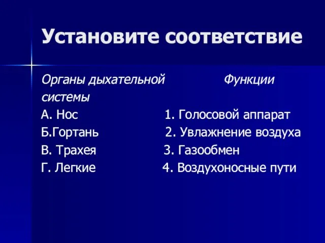 Установите соответствие Органы дыхательной Функции системы А. Нос 1. Голосовой аппарат Б.Гортань