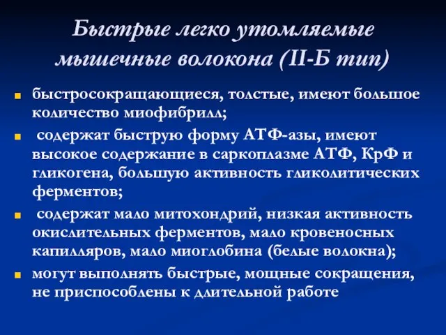 Быстрые легко утомляемые мышечные волокона (II-Б тип) быстросокращающиеся, толстые, имеют большое количество