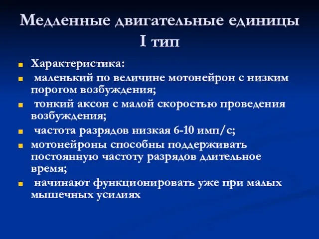 Медленные двигательные единицы I тип Характеристика: маленький по величине мотонейрон с низким