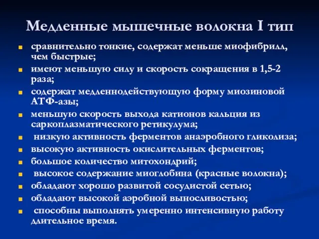 Медленные мышечные волокна I тип сравнительно тонкие, содержат меньше миофибрилл, чем быстрые;