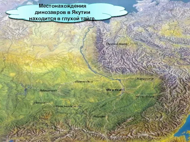 Местонахождения динозавров в Якутии находится в глухой тайге.