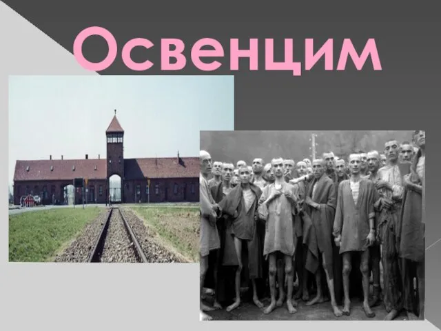 Освенцим