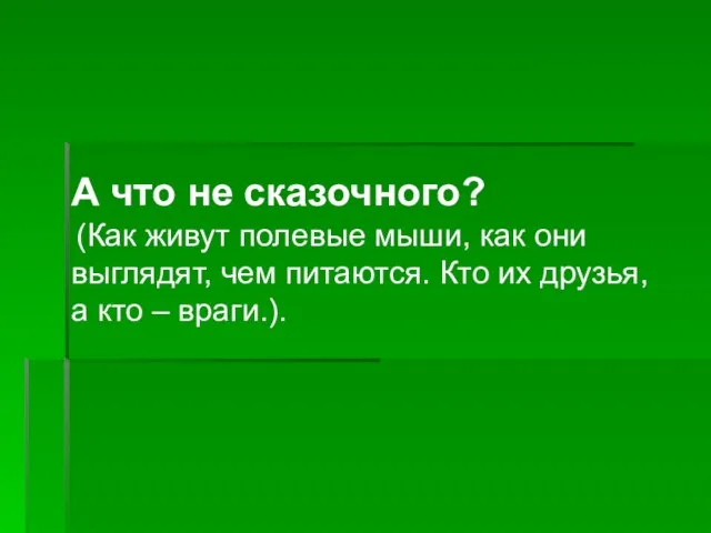 А что не сказочного? (Как живут полевые мыши, как они выглядят, чем