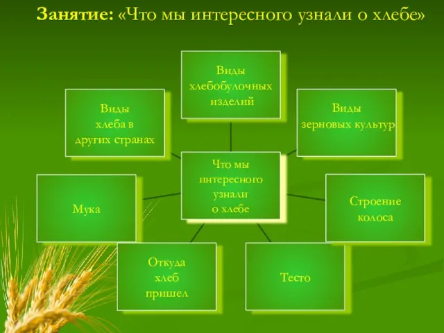 Занятие: «Что мы интересного узнали о хлебе»