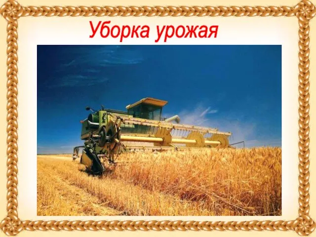 Уборка урожая