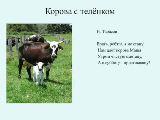 Корова с телёнком Н. Тарасов Врать, ребята, я не стану Нам дает