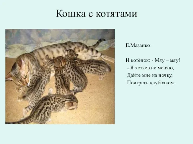 Кошка с котятами Е.Мазанко И котёнок: - Мяу – мяу! - Я