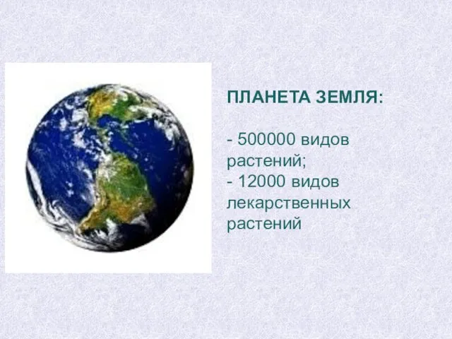 ПЛАНЕТА ЗЕМЛЯ: - 500000 видов растений; - 12000 видов лекарственных растений