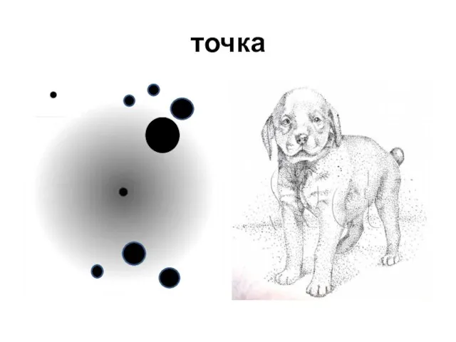 точка