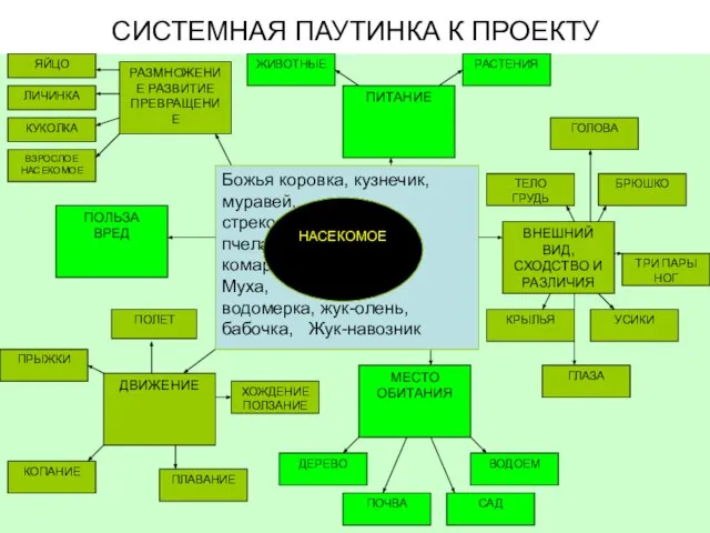 СИСТЕМНАЯ ПАУТИНКА К ПРОЕКТУ