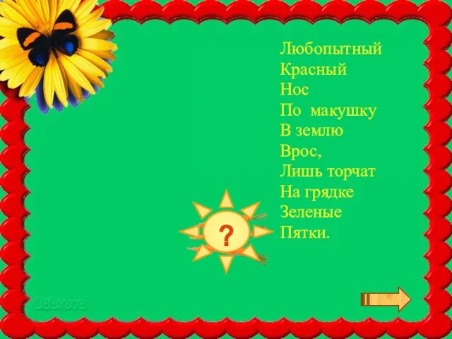 ? Любопытный Красный Нос По макушку В землю Врос, Лишь торчат На грядке Зеленые Пятки.