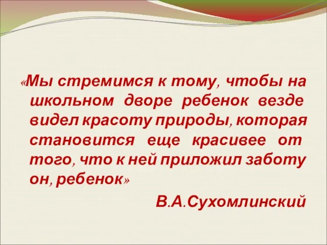 «Мы стремимся к тому, чтобы на школьном дворе ребенок везде видел красоту