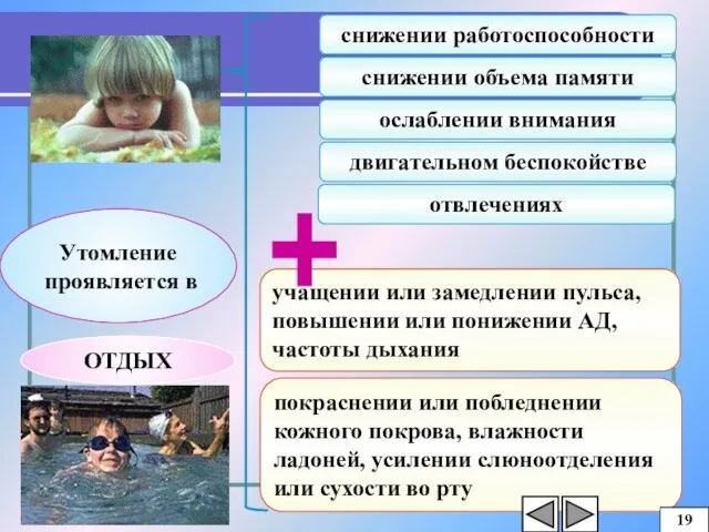 Утомление проявляется в учащении или замедлении пульса, повышении или понижении АД, частоты