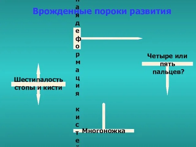 Врожденные пороки развития Шестипалость стопы и кисти Многоножка Клешневидная деформация кистей Четыре или пять пальцев?