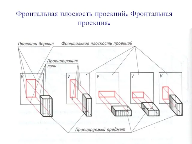 Фронтальная плоскость проекций. Фронтальная проекция.