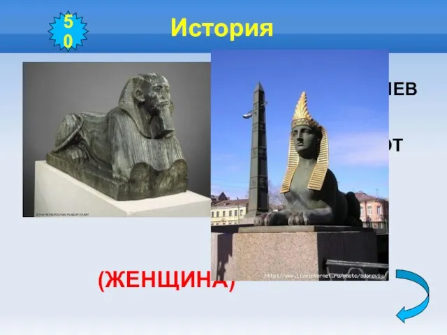 История ЕГИПТЯНЕ ЗНАЛИ, ЧТО СФИНКС – ЭТО ЛЕВ С ГОЛОВОЙ ЧЕЛОВЕКА. НО