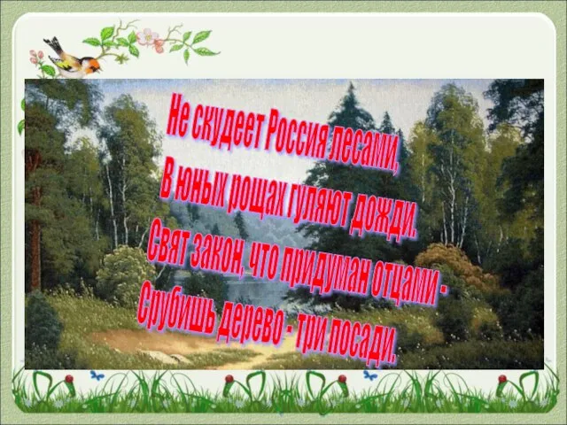 Не скудеет Россия лесами, В юных рощах гуляют дожди. Свят закон, что