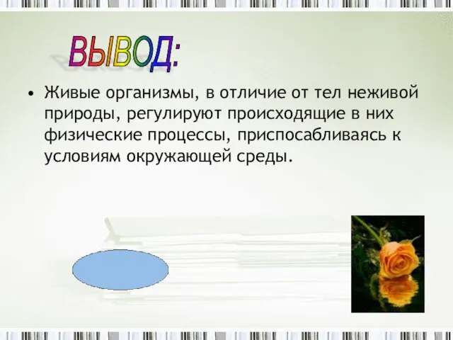 Живые организмы, в отличие от тел неживой природы, регулируют происходящие в них