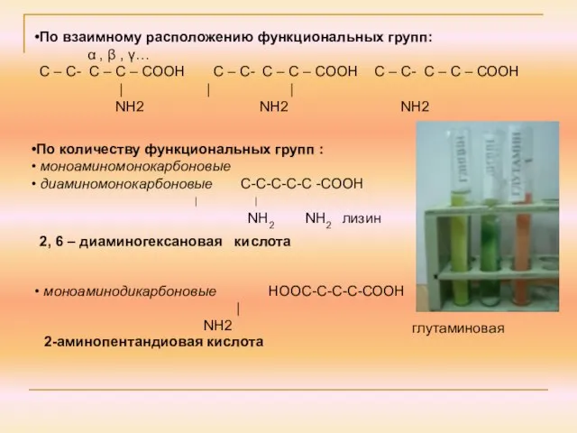 По количеству функциональных групп : моноаминомонокарбоновые диаминомонокарбоновые С-С-С-С-С -СООН ׀ ׀ NH2