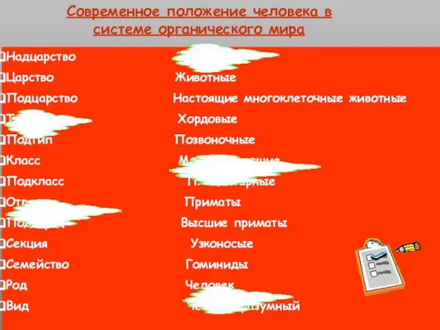 Современное положение человека в системе органического мира Надцарство Эукариоты Царство Животные Подцарство