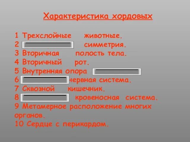 Характеристика хордовых 1 Трехслойные животные. 2 Двусторонняя симметрия. 3 Вторичная полость тела.