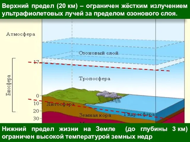 Нижний предел жизни на Земле (до глубины 3 км) ограничен высокой температурой