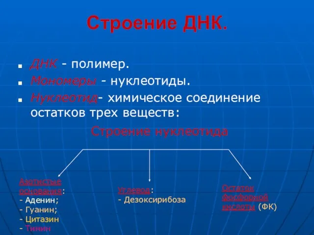 Строение ДНК. ДНК - полимер. Мономеры - нуклеотиды. Нуклеотид- химическое соединение остатков