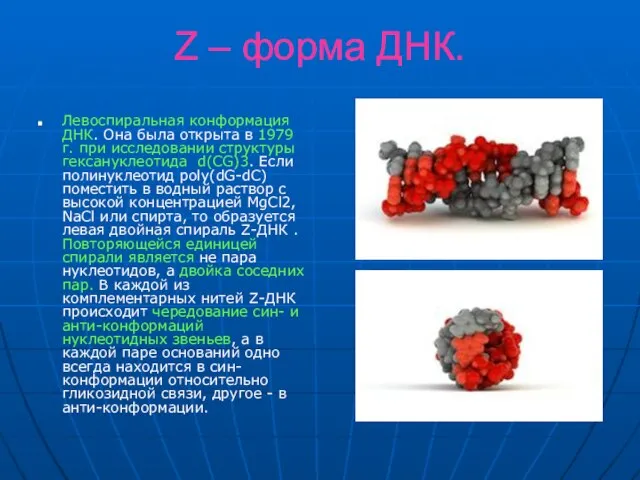 Z – форма ДНК. Левоспиральная конформация ДНК. Она была открыта в 1979