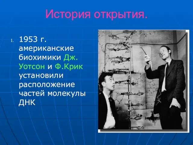 История открытия. 1953 г. американские биохимики Дж. Уотсон и Ф.Крик установили расположение частей молекулы ДНК