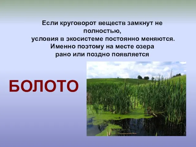 Если круговорот веществ замкнут не полностью, условия в экосистеме постоянно меняются. Именно