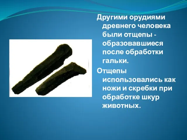 Другими орудиями древнего человека были отщепы - образовавшиеся после обработки гальки. Отщепы