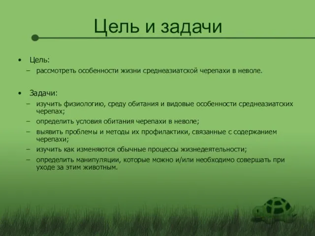 Цель и задачи Цель: рассмотреть особенности жизни среднеазиатской черепахи в неволе. Задачи: