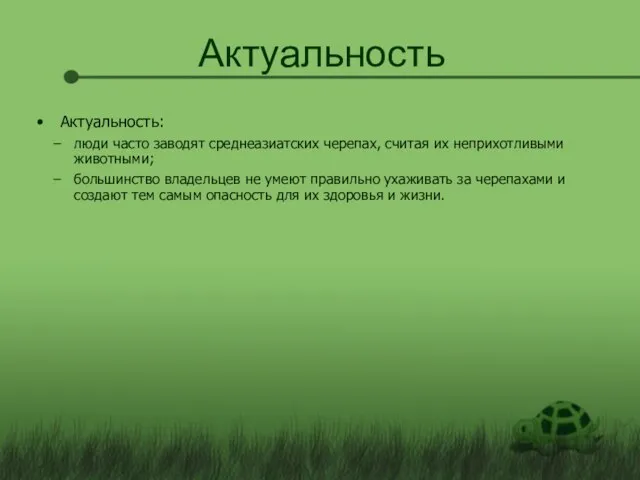 Актуальность Актуальность: люди часто заводят среднеазиатских черепах, считая их неприхотливыми животными; большинство