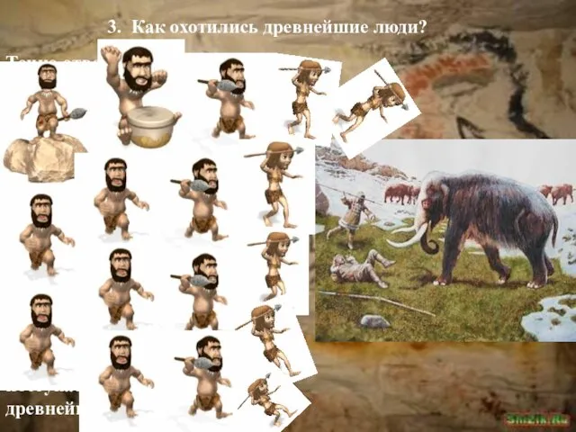 3. Как охотились древнейшие люди? Точно ответить на этот вопрос трудно. Уж