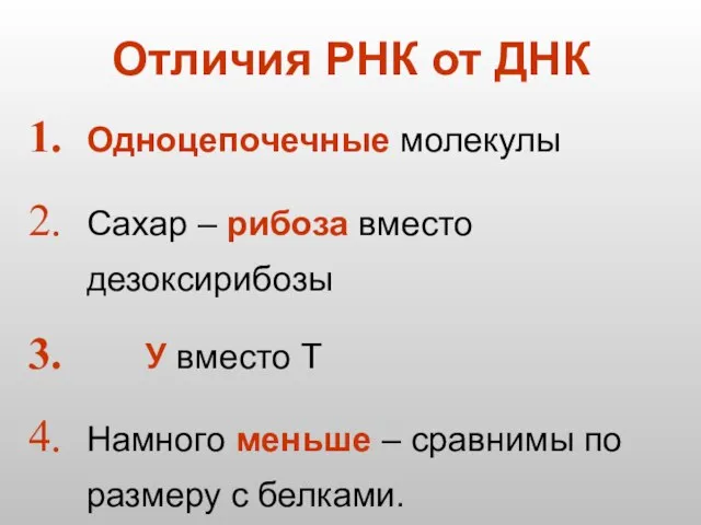 Отличия РНК от ДНК Одноцепочечные молекулы Сахар – рибоза вместо дезоксирибозы У