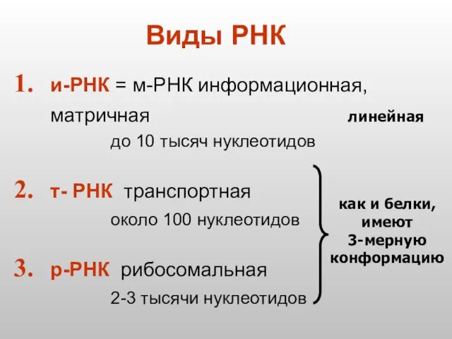 Виды РНК и-РНК = м-РНК информационная, матричная до 10 тысяч нуклеотидов т-