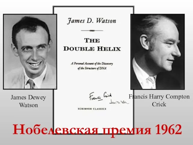 Francis Harry Compton Crick James Dewey Watson Нобелевская премия 1962