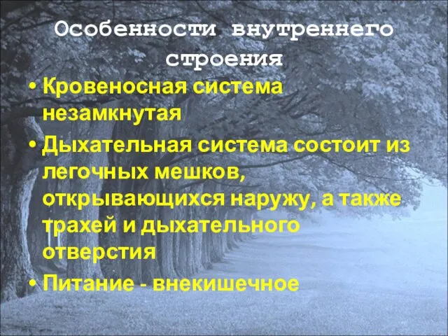 Особенности внутреннего строения Кровеносная система незамкнутая Дыхательная система состоит из легочных мешков,