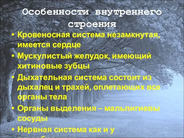 Особенности внутреннего строения Кровеносная система незамкнутая, имеется сердце Мускулистый желудок, имеющий хитиновые