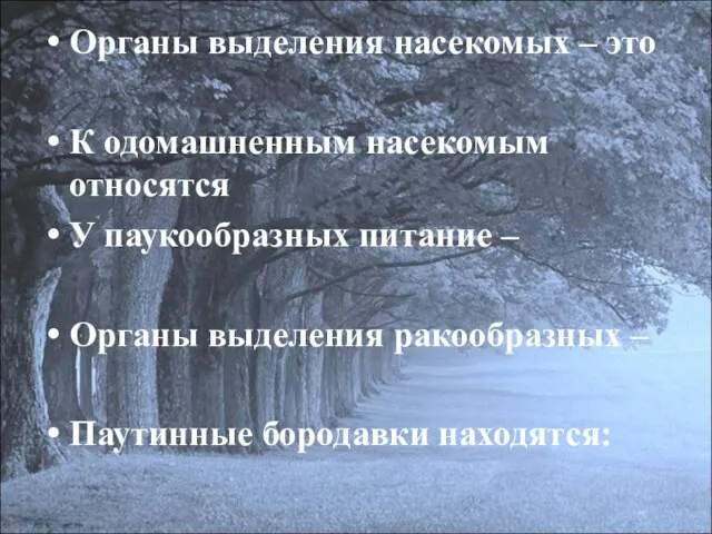 Органы выделения насекомых – это К одомашненным насекомым относятся У паукообразных питание