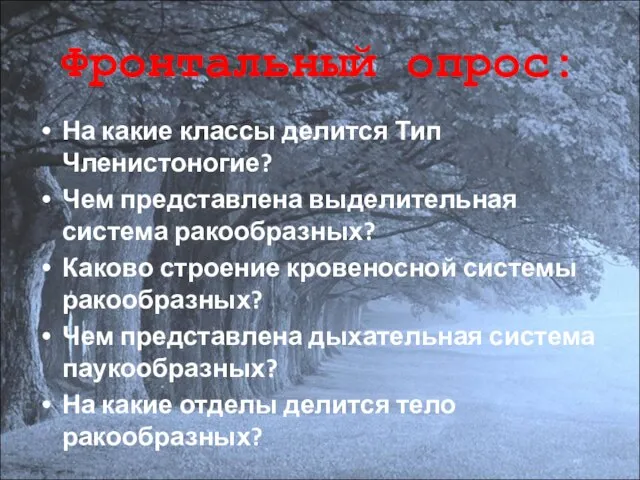 Фронтальный опрос: На какие классы делится Тип Членистоногие? Чем представлена выделительная система