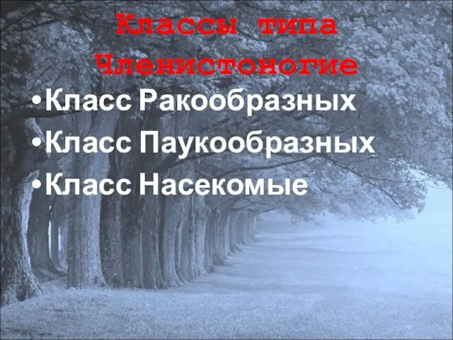 Классы типа Членистоногие Класс Ракообразных Класс Паукообразных Класс Насекомые