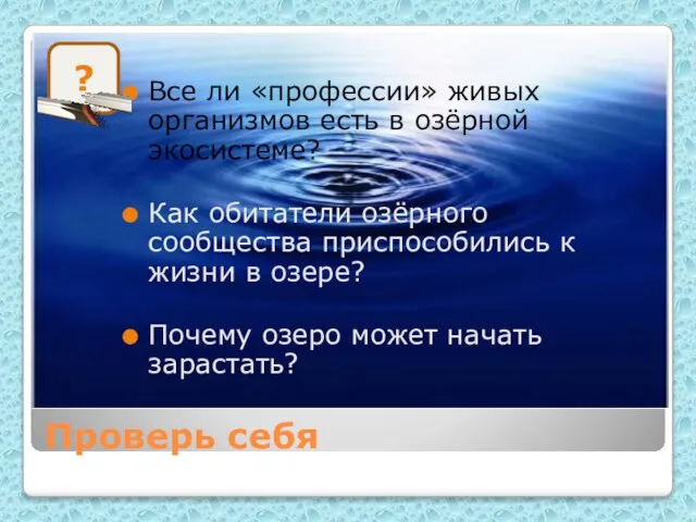 Проверь себя Все ли «профессии» живых организмов есть в озёрной экосистеме? Как