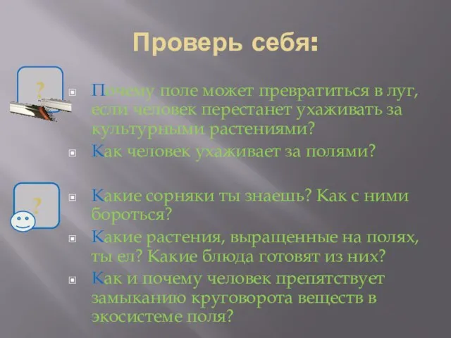 Проверь себя: Почему поле может превратиться в луг, если человек перестанет ухаживать