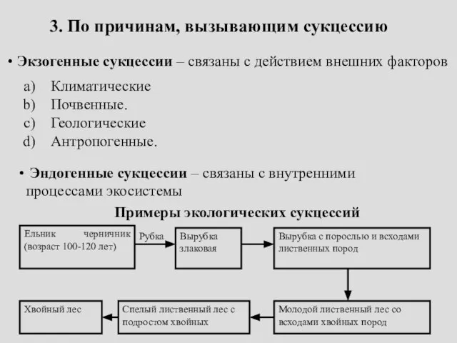 3. По причинам, вызывающим сукцессию Экзогенные сукцессии – связаны с действием внешних